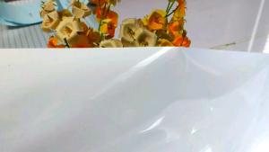 Matte Pure Frosted Window Film Privacy Glass for Home Door Tint UV Protective Sticker W122CM x L45CM