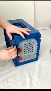 Pet Cargo Lipat Kucing Musang Kelinci Marmut Burung & Hewan Lainnya