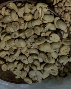 Ngarot Kopi Garut Enak