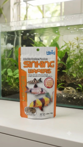 Hikari Sinking Wafers Bottom Feeder Fish Food - 3.88 oz (110g) | High Protein Diet with Spirulina Krill & Silkworm for Loaches Catfish & Plecos
