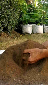 ดินสูตรเข้มข้น ขนาดบรรจุ 5 กิโลกรัม วัสดุบำรุงดินคุณภาพสูง จากส่วนผสมอินทรีย์ 100% ที่ผ่านการย่อยสลายอย่างสมบูรณ์ ช่วยเร่งการเจริญเติบโตแก่พืชผักผลไม้ได้ทุกชนิด อัดแน่นด้วยอินทรีย์วัตถุ และอาหารที่พืชดูดซึมไปใช้ได้ทันที ช่วยปรับสมดุลความเป็นกรด-ด่างในดิน