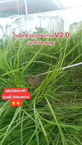 ใบมีดตัดหญ้าซิ่งรุ่นอัพเกรด V2. 0 (ครบชุด ตามภาพ) ขนาด10นิ้ว เอาใจสายลุย ตัดหญ้าคา ตัดหญ้าหวายนา ต๊าปเกลียวเพิ่มเพื่อขยับใบมีเล็ก ให้อยู่จุดลุย และถนอมต้นไม้ ครบ จบในใบเดียว