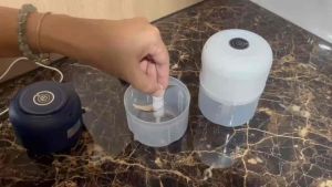 Okay Mini Blender Garlic