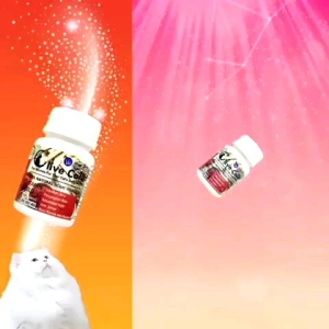 Olive Care Vitamin Kucing: Membuat Bulu Panjang & Sehat