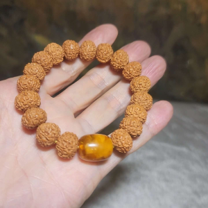 Premium 12mm+ natural "Panlong" (Coiling Dragon) 9 Mukhi (faces) small species Rudraksha and natural Butterscotch Amber barrel bead bracelet