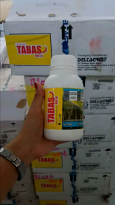 TABAS 400 SC HERBISIDA PADI
