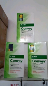 HERBISIDA JAGUNG CONVEY 20ML /40ML AMPUH BASMI GULMA JAGUNG