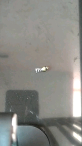 Phentil Kupler Jantan Drat Luar Phentil Kupler Per Kupler