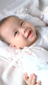 Bantal Guling Set Peang Quokka Baby Bantal Guling Set Bantal Peang