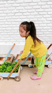 รถเข็นสำหรับแต่งสวน กระเช้ารถเข็น กระถางต้นไม้ทรงรถเข็น รถเข็นไม้ ขนาดเล็ก ล้อหมุนได้