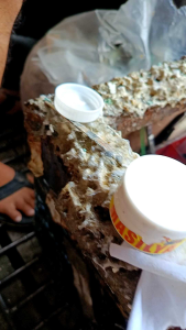 Marlon Leather Masilya White 10 Gams: A Comprehensive Guide