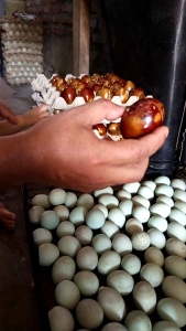 Telur Asin Asap Isi 10 Ekonomis