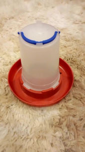 Automatic Drinker Waterer Feeder/Premium / Waterer for Chicken with Handle ( 1/4 1/2 1 Gallon )