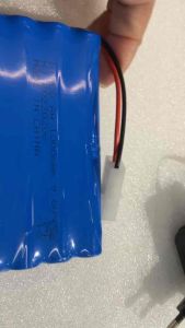 Ni-Cd 9.6V 1000mAh Tamiya 2 pin Connector battery and or without 9.6V charger