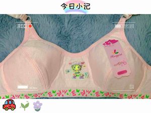 ชุดชั้นในนักเรียนลูกไม้ ผ้าฝ้าย 2 กระดุม 5 สี ซึ่งเป็นคุณภาพดี สายสะพายไหล่อย่างดี ลายการ์ตูน น่ารัก คุณสมบัติสูงอีกด้วย 6233#32 34 36