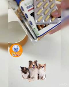 โปรลดแรง ซื้อ 5 แถม 5 ( 150 แคปซูล )>>  สเตอร์เพ็ท เหมาะน้องน้ำหนัก 20โลขึ้นไป