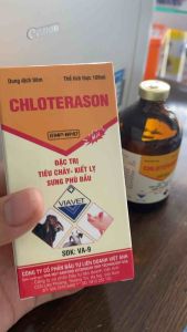 CHLOTERASON (100ml) viavet tiêu chảy kiết lị sưng phù đầu