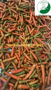 Tiêu Lốp Tươi Hữu Cơ - Tiêu Lốt Tươi Hữu Cơ LOPECO Loại Hảo Hạng Trái To Đỏ Dài Từ 3cm Đến 4cm Túi 1kg.