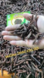 Tiêu Lốt Khô - Tiêu Lốp Khô LOPECO Hàng Xô Giá Sỉ