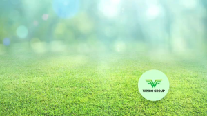 Sữa hạt cho người tiểu đường tim mạch huyết áp