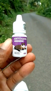 Obat Anti Hamil Kucing: Mencegah Kehamilan & Proses Ovulasi