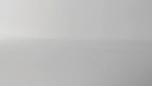 minyak ponibasalwa plus Wadah