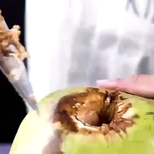 Dụng Cụ Khui Trái Dừa_Mở Dừa Lấy Nước (Không Rỉ)