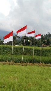 bendera merah putih sedang 110x70 cm bendera indonesia