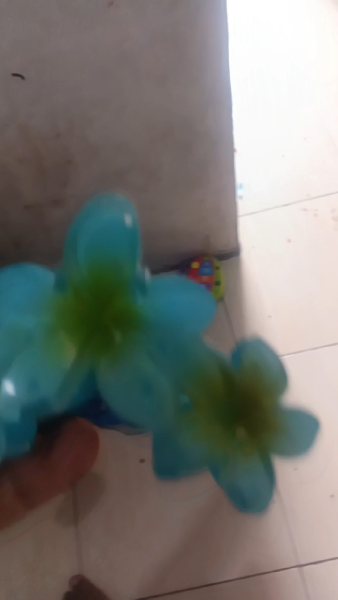 Buyer review video 2