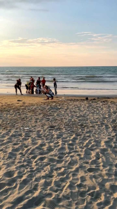 Ultimate Natural Remedy Kit: Essential Oils for Wellness