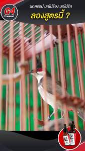 G4(สูตรเลี้ยง) 50ml.  จำนวณ 1 ขวด