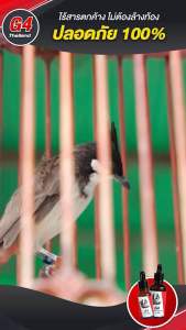 ชุดโปรคู่หูบำรุงนกหัวจุก G4(สูตรเลี้ยง) 15ml. 1 ขวด กับ อาหารพี่หนุ่มนกริก สูตรแข่ง 1 ซอง ขนาด 100 กรัม