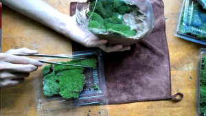 đất sét kết dính