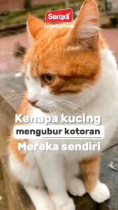 Semprotan Pembersih Kandang Penghilang Bau Kotoran Pipis Pesing Anjing Kucing Kelinci - SEROXIL PET ODOR REMOVER Spray dan Jerigen