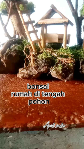 Bonsai Rumah Di tengah Pohon daun sintetis