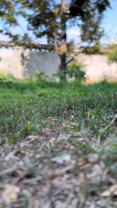 รองเท้าหนังผู้ชาย สีขาว MADICO แท้พื้นหนา พร้อมกล่อง ทาเคลือบไขปลาวาฬก่อนส่ง มาริโอ้ 🇹🇭 ล่าสุด