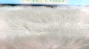 Seri Balita Mandiri: Buku Belajar Bahasa Anak