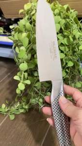 Dao thái Global Nhật thép không rỉSắc bén