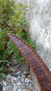 CELURIT NURIDENG MULTI TALENT MANTAP