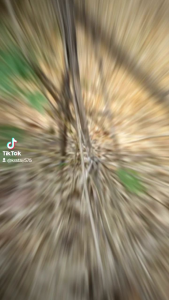 น้ำผึ้งโพรง น้ำผึ้งป่าแท้ ขนาด 1000 กรัม