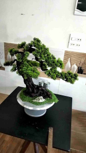 Cây Tùng Bách Bonsai Bằng Nhựa