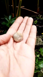 Batu mustika inti bumi