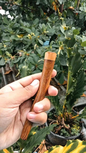 once pipa kayu kelor emas model S A652