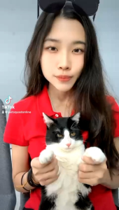 500G CHEAPEST IN TOWN!!!Booster Gemuk Kucing Booster Kucing Gemuk Pet Freeze Dried Pet Booster Pet Booster Gemuk Chicken Cube Chicken Cat food Snack