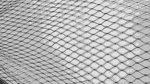 Jaring Pagar Bebek Ayam Ukuran 15 x 13 Meter Lubang 2 x 2 Cm