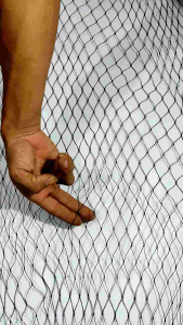 Jaring pagar ayam bebek ukuran 25 x 13 meter bonus tali lubang 2 x 2 cm tali tebal 1mm tahan segala cuaca ukuran akan menyusut saat terpasang