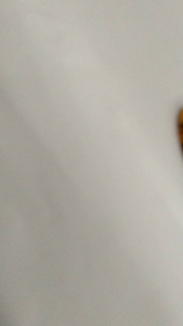 Plat logo sangkar bnr arkilik terbaru tiga buah sama sekrup