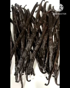 มาดากัสของฝักวนิลามาดากัสการ์ ฝักฉ่ำ กลิ่นหอมมาก ฝักยาว 15+ เซนติเมตร Premium Vanilla Bean A USDA ORGANIC CERTIFIED ฿165/pod