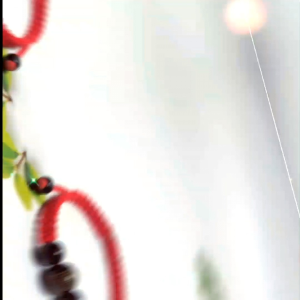 [Chi Chi] Vòng tay lắc tay chỉ đỏ may mắn chú Đại Bi bình an - MS074