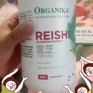 [Chính hãng] [Hàng Nhật nội địa Date 11/2024 vE] 360 VIÊN NẤM LINH CHI NHẬT CAO CẤP [Vegetarian Capsule]